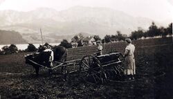 Sähmaschine 1940.JPG