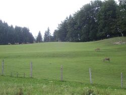 Rotwildgehege beim Druckerhof.jpg