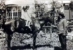 KinderPferd1910.jpg
