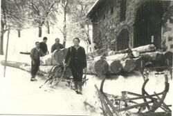 HolzbringHornerschlLimb1953.jpg