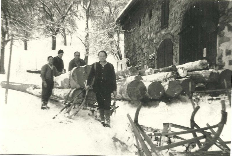 Datei:HolzbringHornerschlLimb1953.jpg