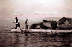 Traunerl mit HeuWeb.JPG