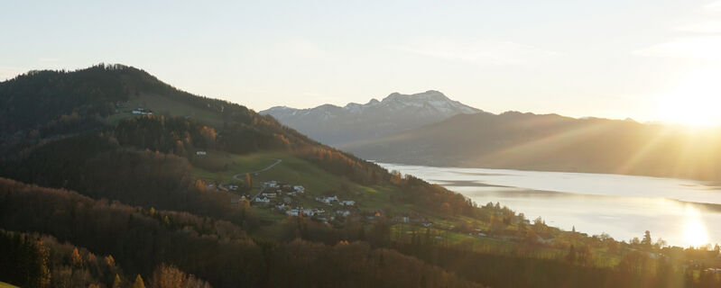 Datei:Wachtberg in der Abendsonne.jpg