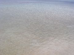 Farbenspiel im Wasser - eine Referenz an Gustav Klimt