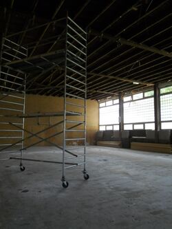 SWN H Schuh 2 43 HS Rz.JPG