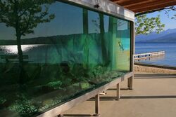 Fotoklub Weyregg 3.JPG