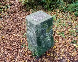 Ansprachgatter Schörfling - 2025-09-24.jpg