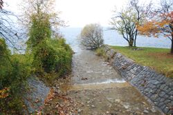 AlexenauerBach D40x 264.JPG