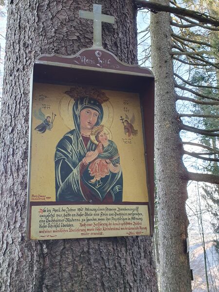 Datei:Baumbild am Hongar.jpg