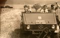 Beim Getreidemähen mit dem Ablegermähwerk, welches das Getreide garbenweise ablegen konnte, durften die Kinder den Unimog steuern – beim Niedermoar 1955