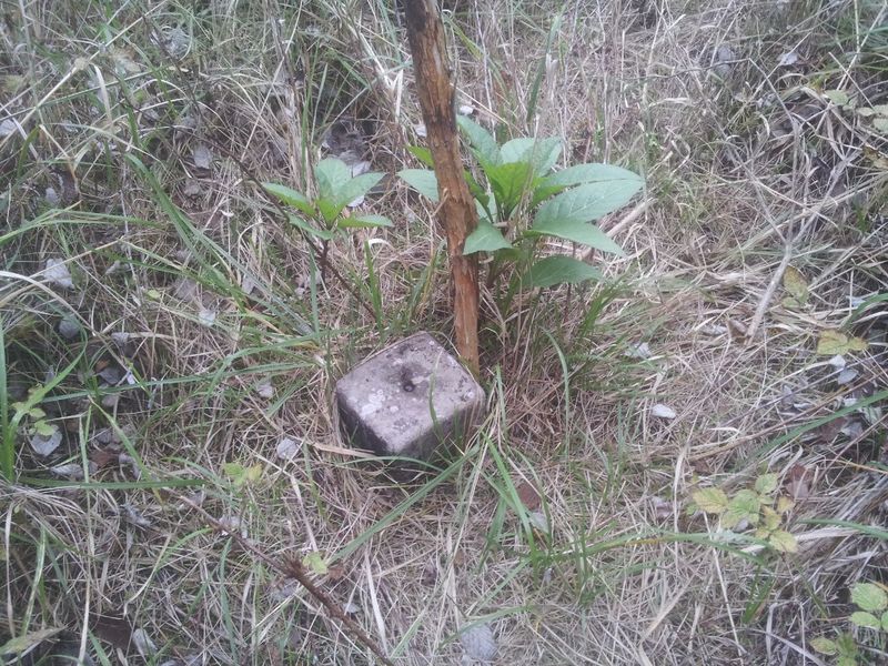 Datei:Buchberg Gipfel.jpg