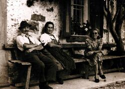 Johanna+Georg Hemetsberger 1956.JPG