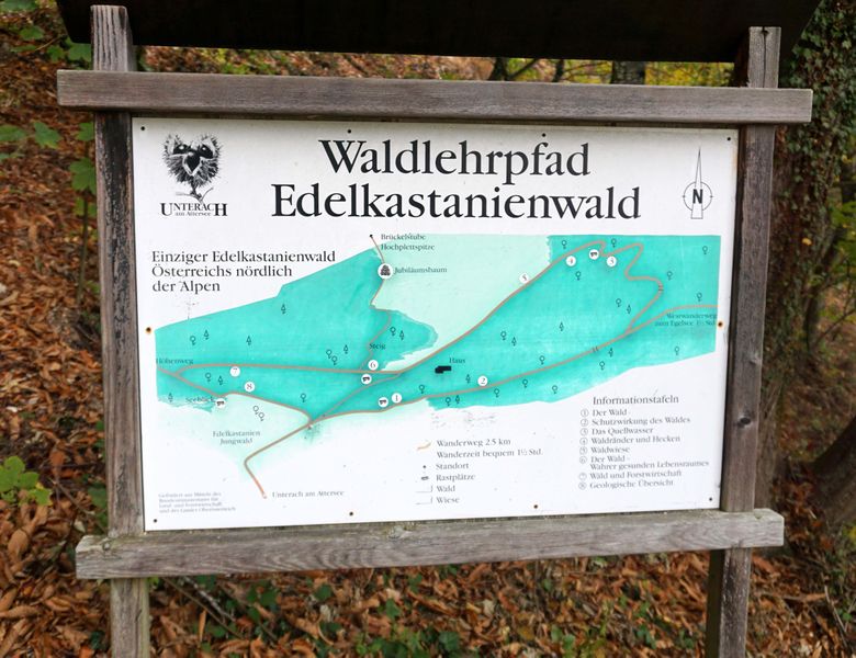 Datei:Schautafel Edelkastanien Waldlehrpfad.jpg
