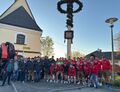 Maibaum-2026