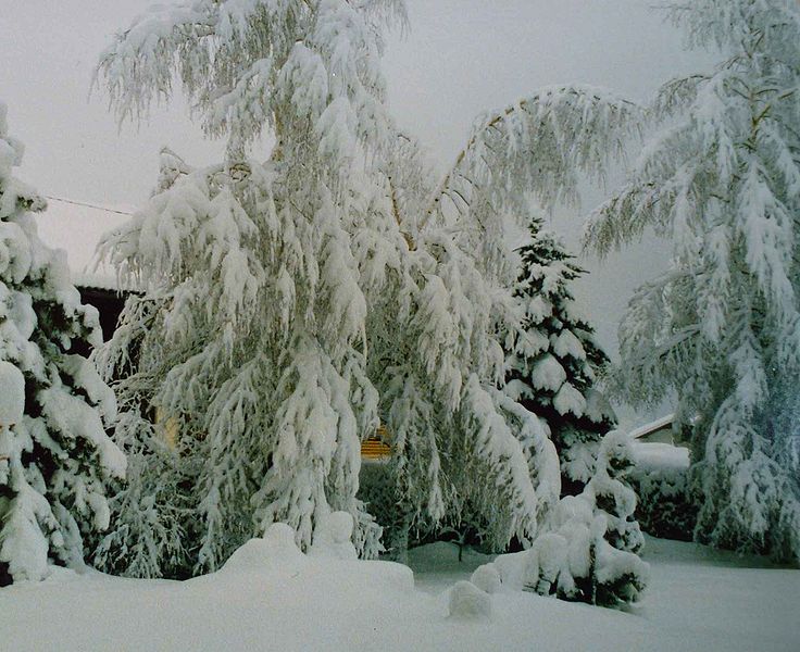 Datei:Eisregen87 6.jpg