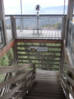 Stiegenansicht des Attergauer Aussichtsturmes.JPG