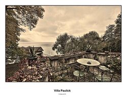 SWN V Paulick 41 ADW 9815b.jpg