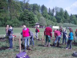 Heckenpflanzung2010.jpg