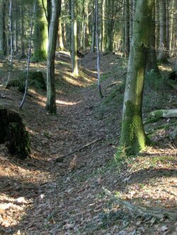 Landgraben Aichereben.jpg
