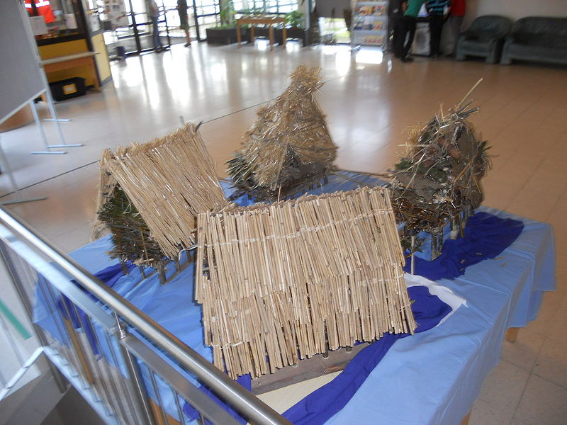 Datei:2013 Pfahl Zeitl 17 Rz.JPG