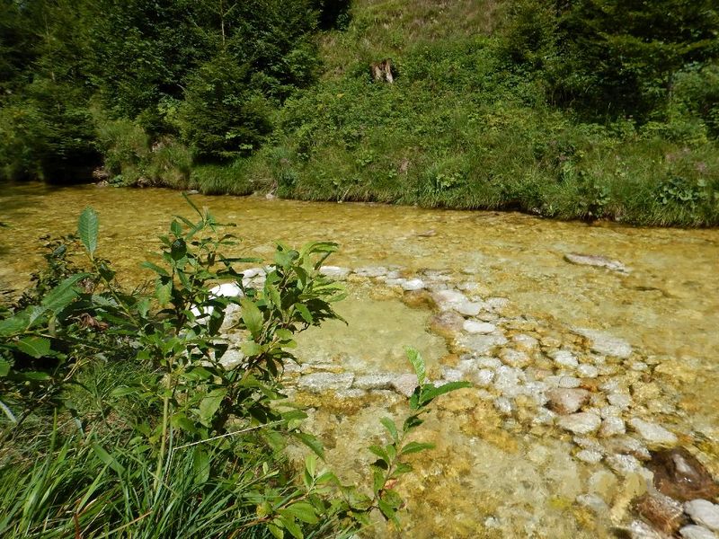 Datei:Gimbach Weißenbachtal.jpg