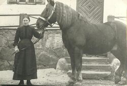 DomerlbauerPferd1920.JPG