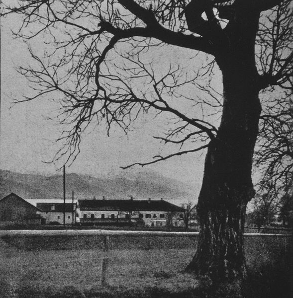 Datei:Litzl 151 Seehof mit Nussbaum JR.JPG