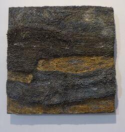 Zwach 2014 4 8 Fasching Landkarte.JPG