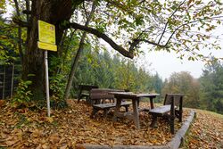 Unter dem Jubiläumsbaum in Unterach.jpg