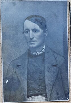 Fellinger Wolfgang 1879 - 1885.jpg