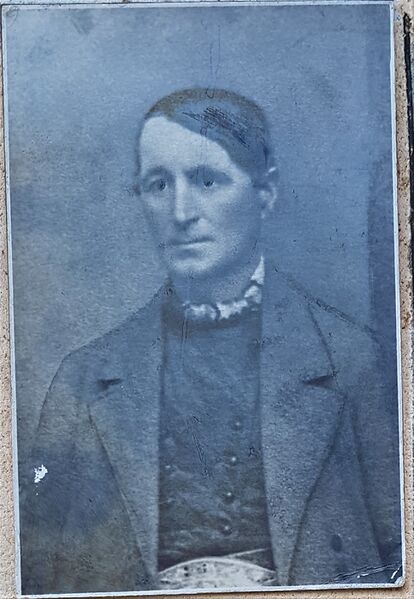 Datei:Fellinger Wolfgang 1879 - 1885.jpg