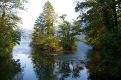 Insel Unterach5.jpg