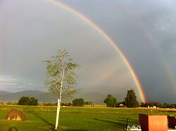 S-Regenbogen2.jpg
