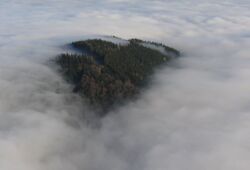 Buchberg bei Nebel.jpg