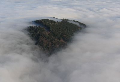Buchberg bei Nebel.jpg