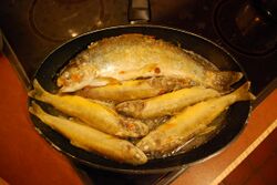 Fischerei D40x 199.JPG