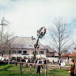 Maibaumaufstellen.jpg