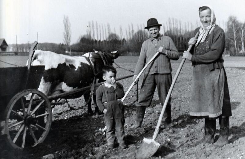 Datei:Reiter Eltern.jpg