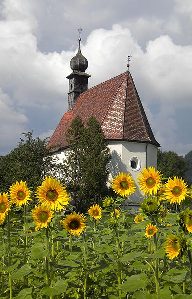 Datei:DSCN1120b buchbg.JPG